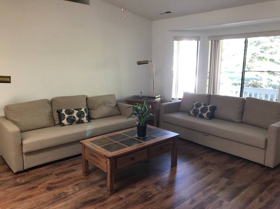 Large living room with two sleeper sofas.