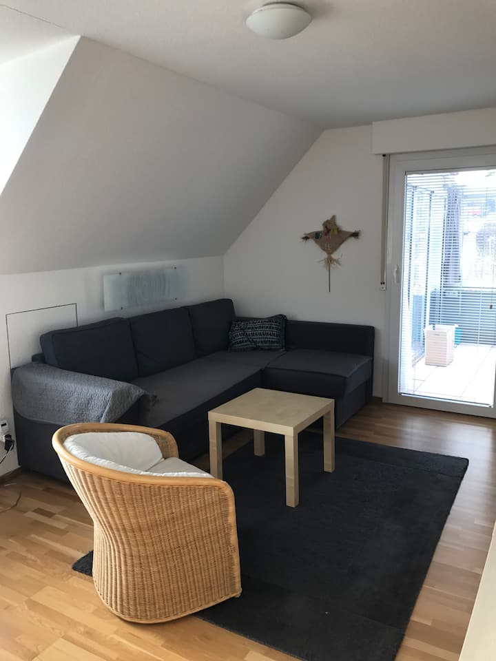 Dnevni boravak, kauč na razvlačenje za 2 osobe