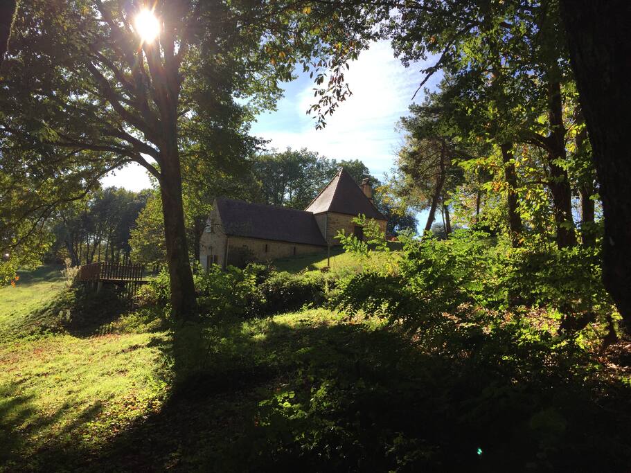 Vue du petit bois où un chemin est aménagé pour les enfants
