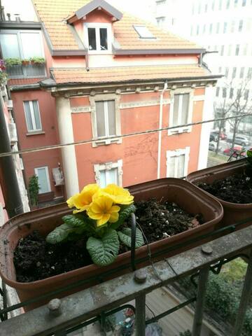 Large sunny artist apartment gallery image 4