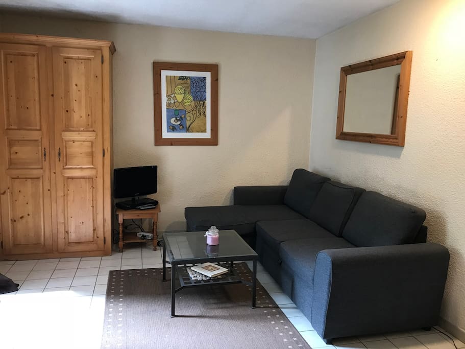 Living room with sofa bed