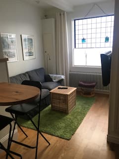 Central+apartment
