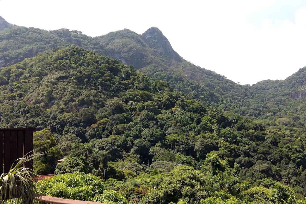 Vista para a Rampa de Voo Livre e para a Floresta da Tijuca.
