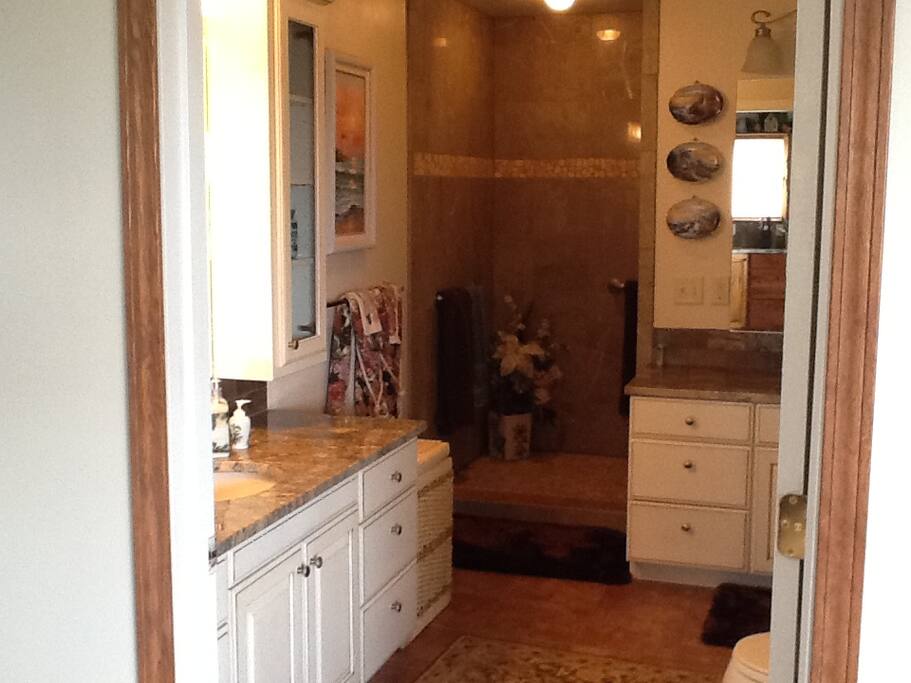 Bathroom with walk-in shower.