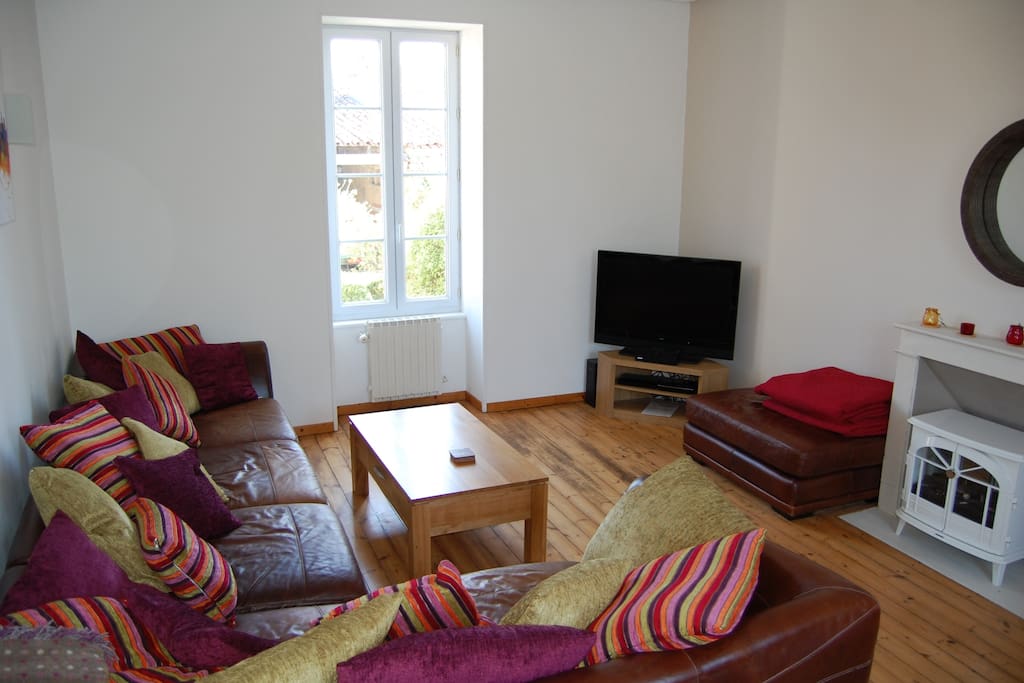 Den with large TV and DVD collection