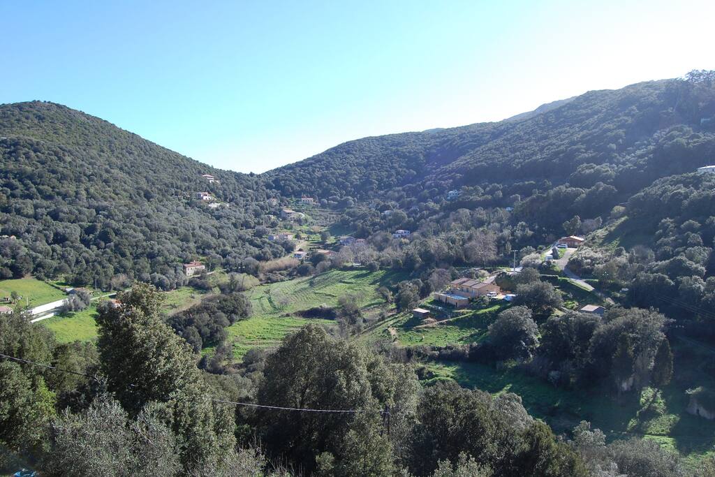 vue de l'appart !