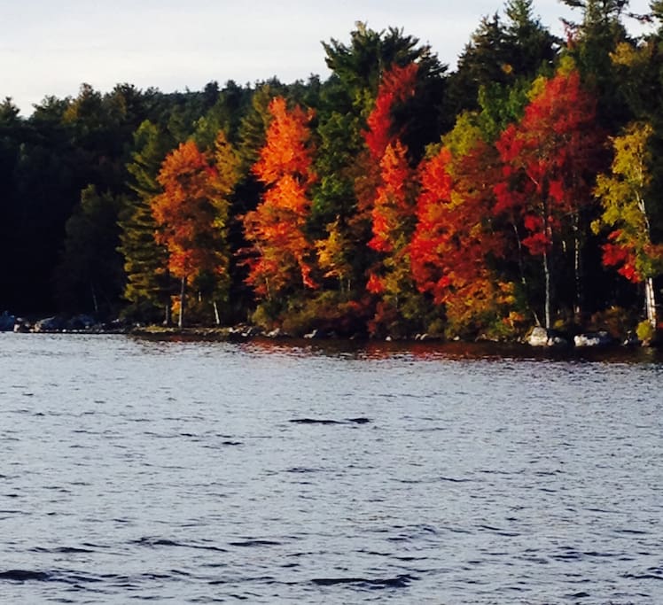 A view from the dock of the lake mid October.