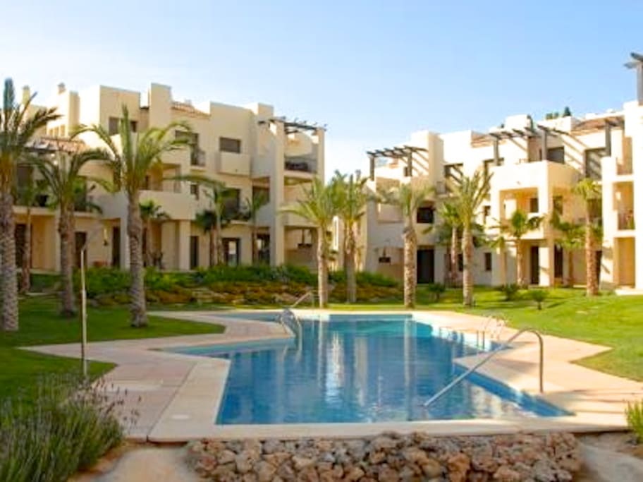 Pool and building view