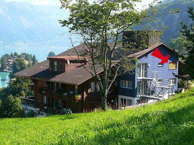 Chalet Edelweiss 38 rooms with mountain view