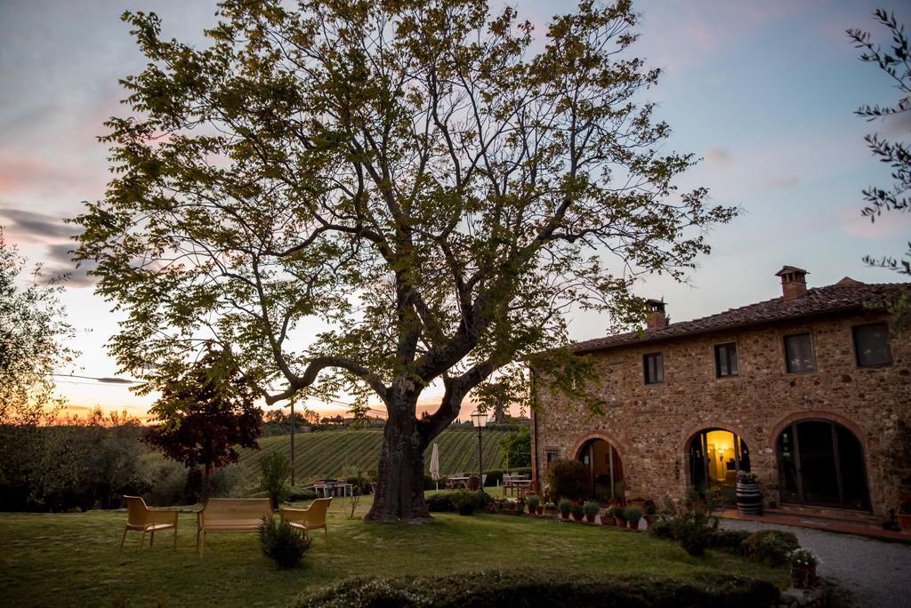 A large tree stands prominently in the garden, providing shade over two wooden chairs and a rustic bench. The stone building, featuring arched windows, is illuminated by warm light as the sun sets, with rolling vineyards visible in the background.