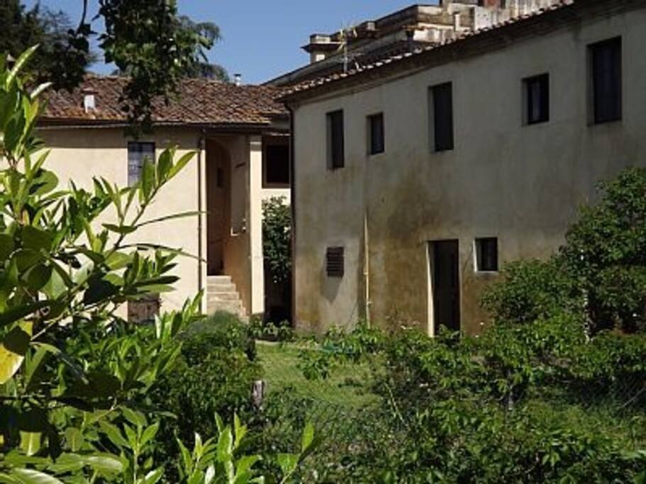 Giardino