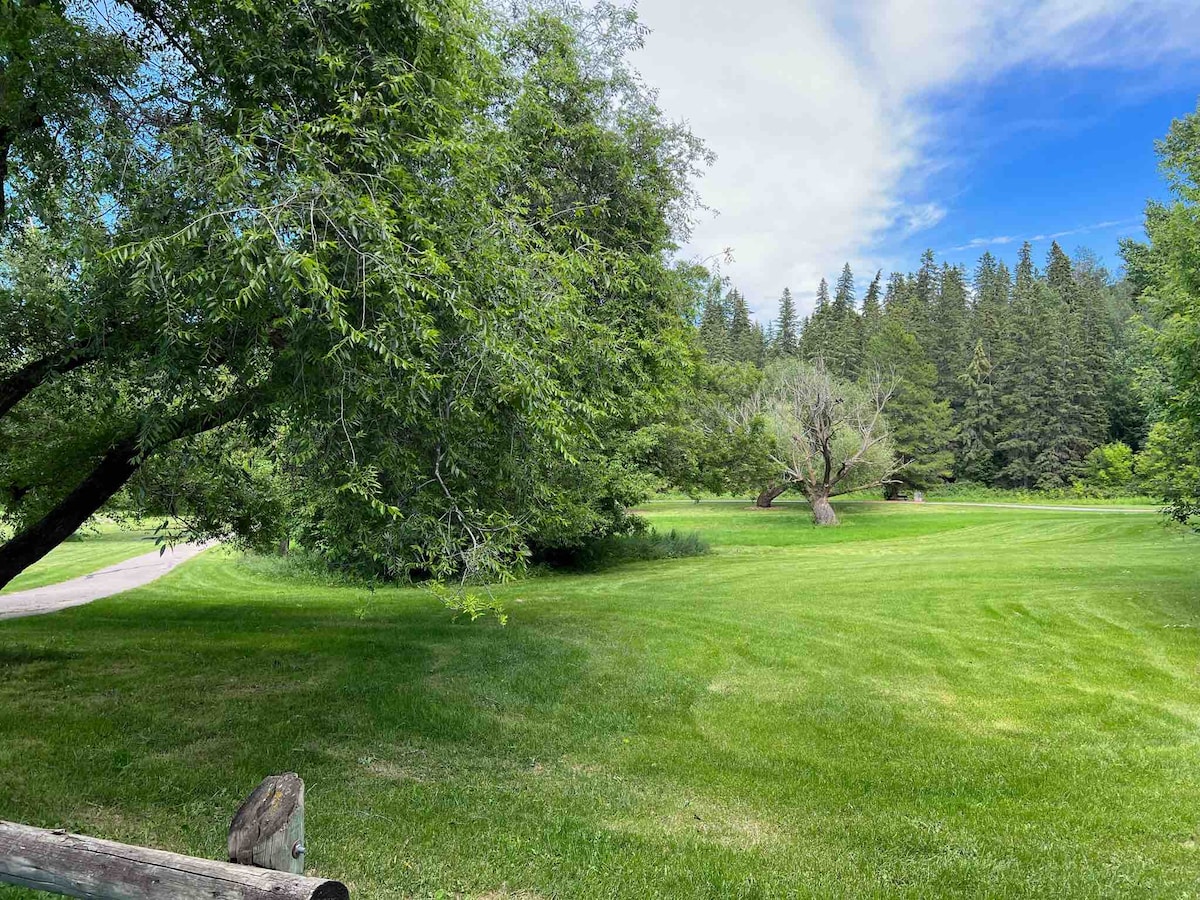 A lush, green park area is displayed, framed by scattered trees and expansive grassy fields. Clear blue skies and a few clouds create a serene backdrop. The gentle contours of the terrain invite leisurely walks, highlighting the tranquil atmosphere of the surroundings.