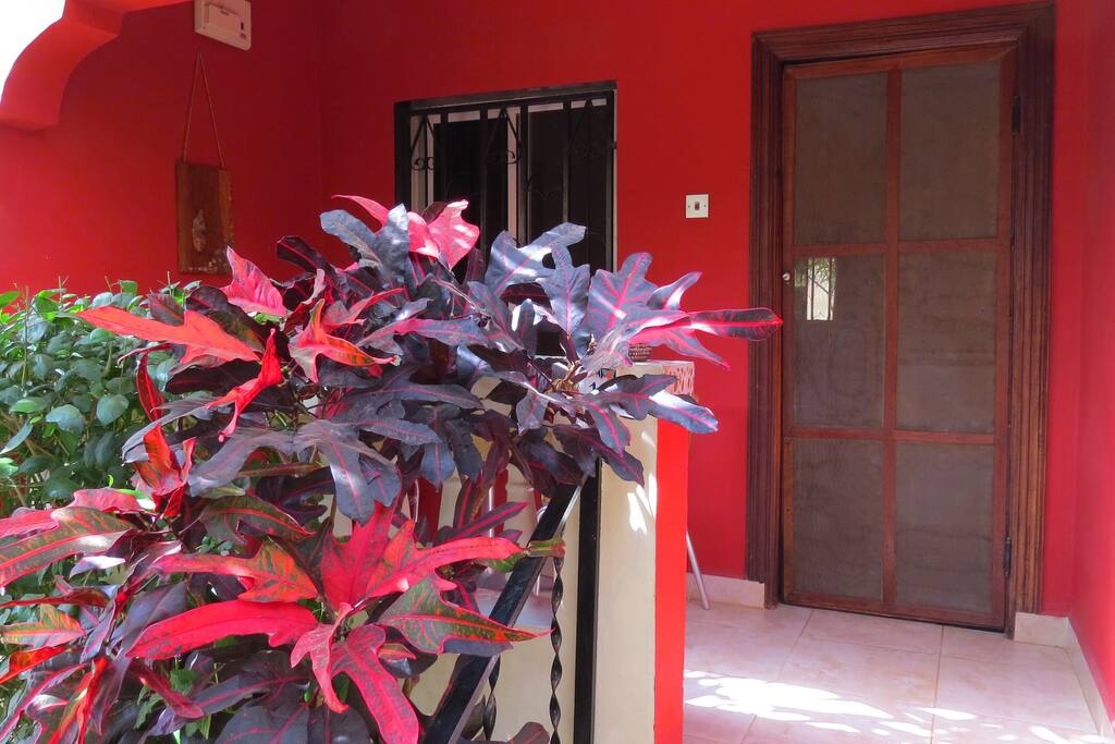 Veranda Apartment 1