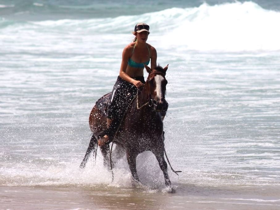 Galloping through the surf on your horse - the stuff Bucket List dreams are made of - Sea Horse Diamond Beach