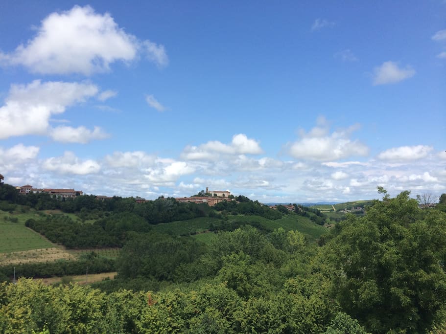 This is the view from the backyard