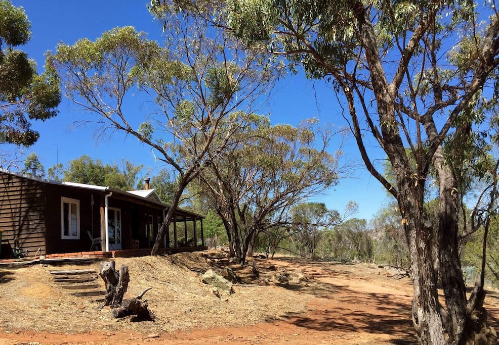 A private house on a 5 acre bush block.