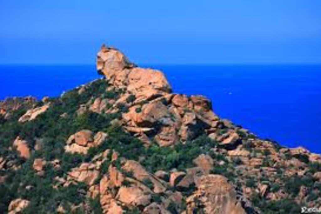 Roccapina Ortolo A 3km De La Plage Rez De Villa Apartments For Rent In Sartene Corsica France