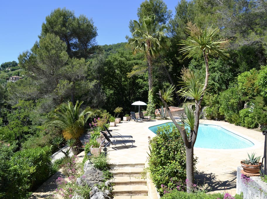 A view of the pool