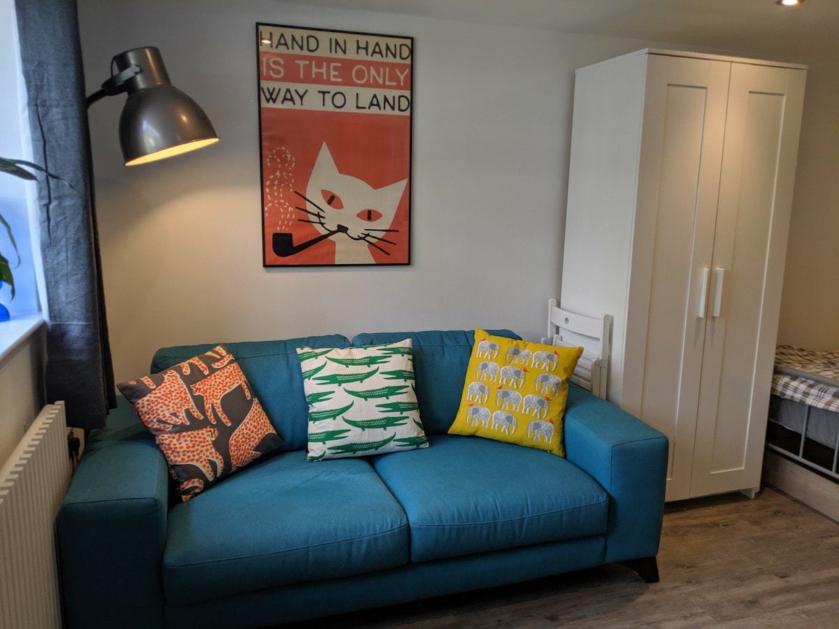 A vibrant blue sofa is equipped with decorative cushions featuring animal and graphic designs. A playful poster of a cat hangs on the wall above, while a stylish lamp provides soft lighting. A white storage cabinet stands nearby, and a cozy bed is visible in the background.