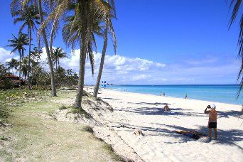 A sandy beach stretches along a clear blue ocean under a bright sky, dotted with fluffy clouds. Palm trees line the shore, offering shade to areas where individuals can be seen enjoying the sun and water, creating a tranquil coastal scene.