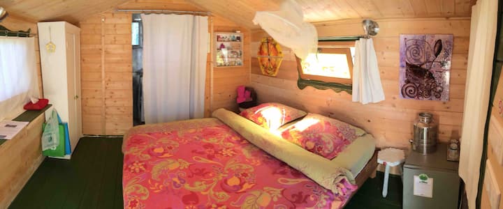 Su cabaña en el interior. Tiene la ducha y el lavabo al lado. Un armario con documentación turística y ecológica. Una heladera pequeña para sus alimentos. Un bidón de agua potable para beber y lavar los dientes. Mosquitera en verano.