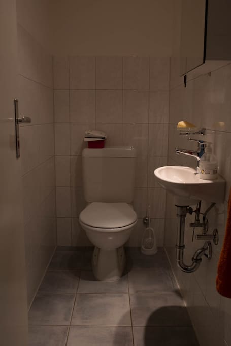 Separate toilet and shower are very useful with multiple guests