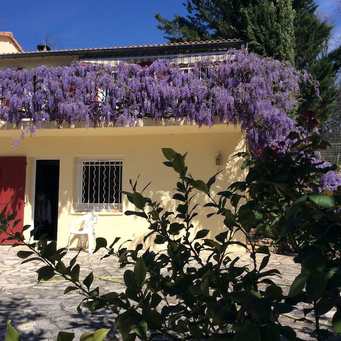 Le printemps