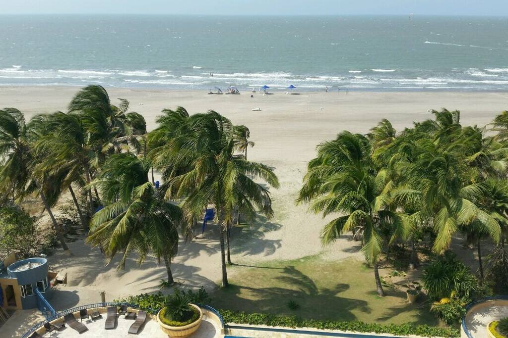 View from Apt