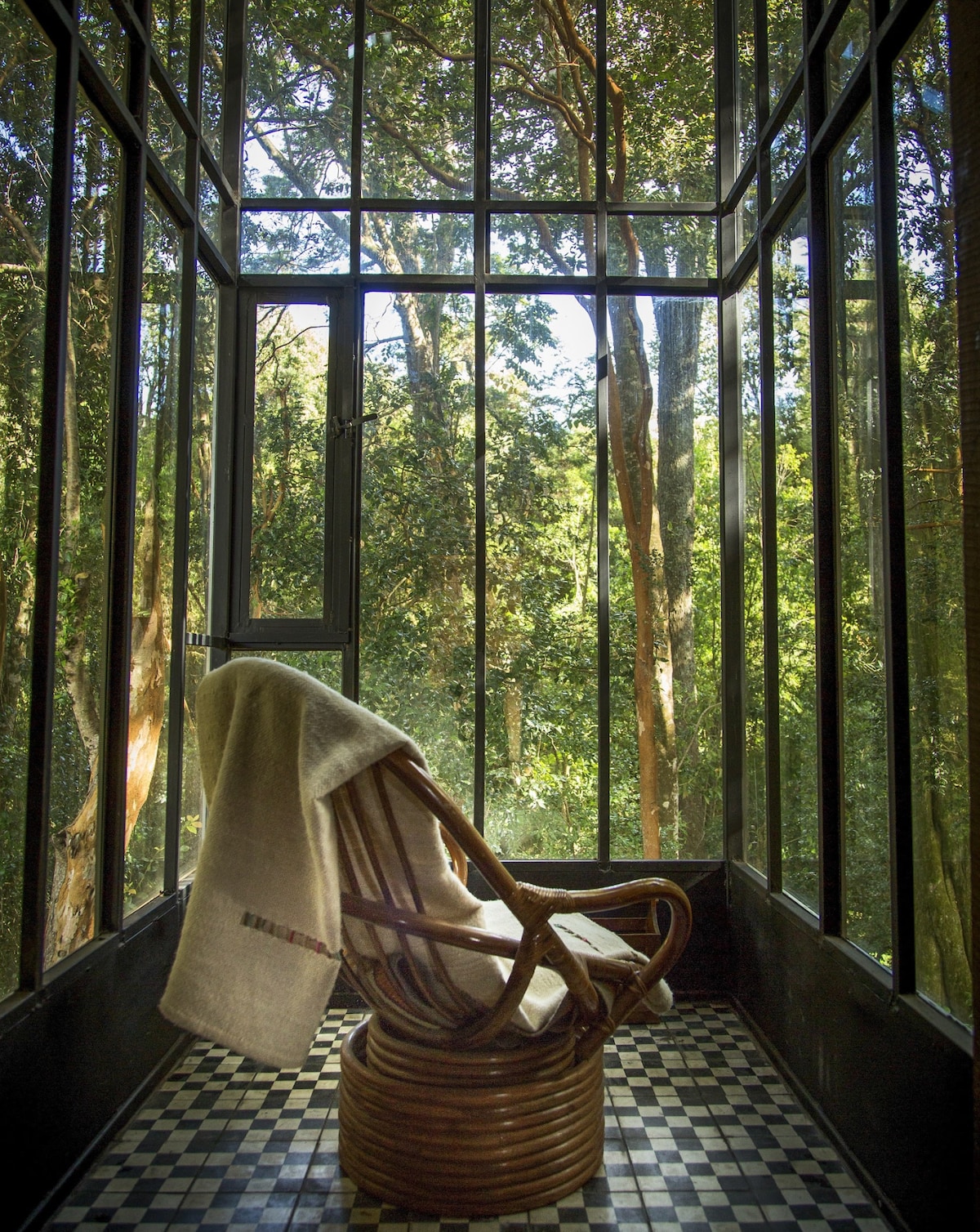 A sunlit corner is framed by large glass windows, showcasing a serene view of surrounding trees. A woven chair, draped with a soft blanket, is positioned on a patterned tile floor, creating a peaceful space to relax amidst nature.