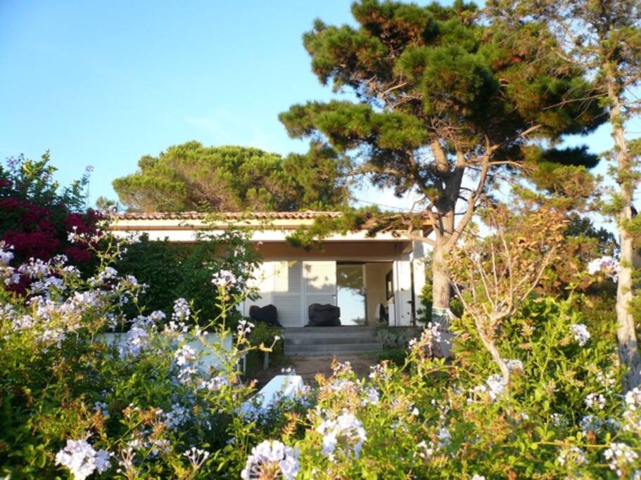 vue extérieure chambre