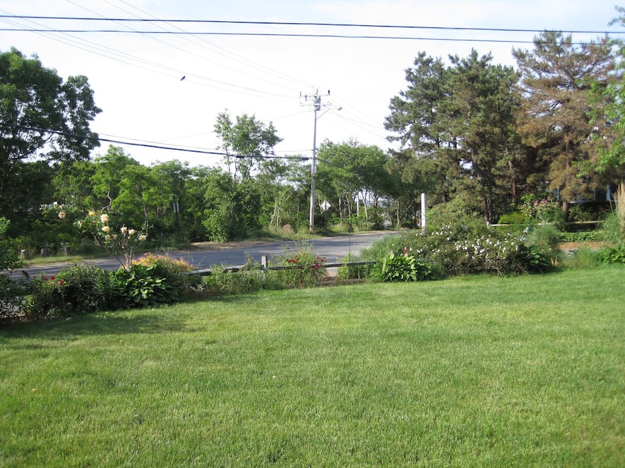Front lawn...the beach parking lot is behind those trees...thats how close we are!