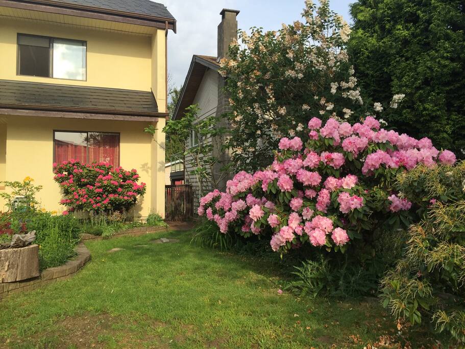 Outside Flower