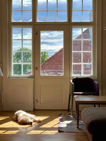 Family friendly, spacious and sunny gallery image 5