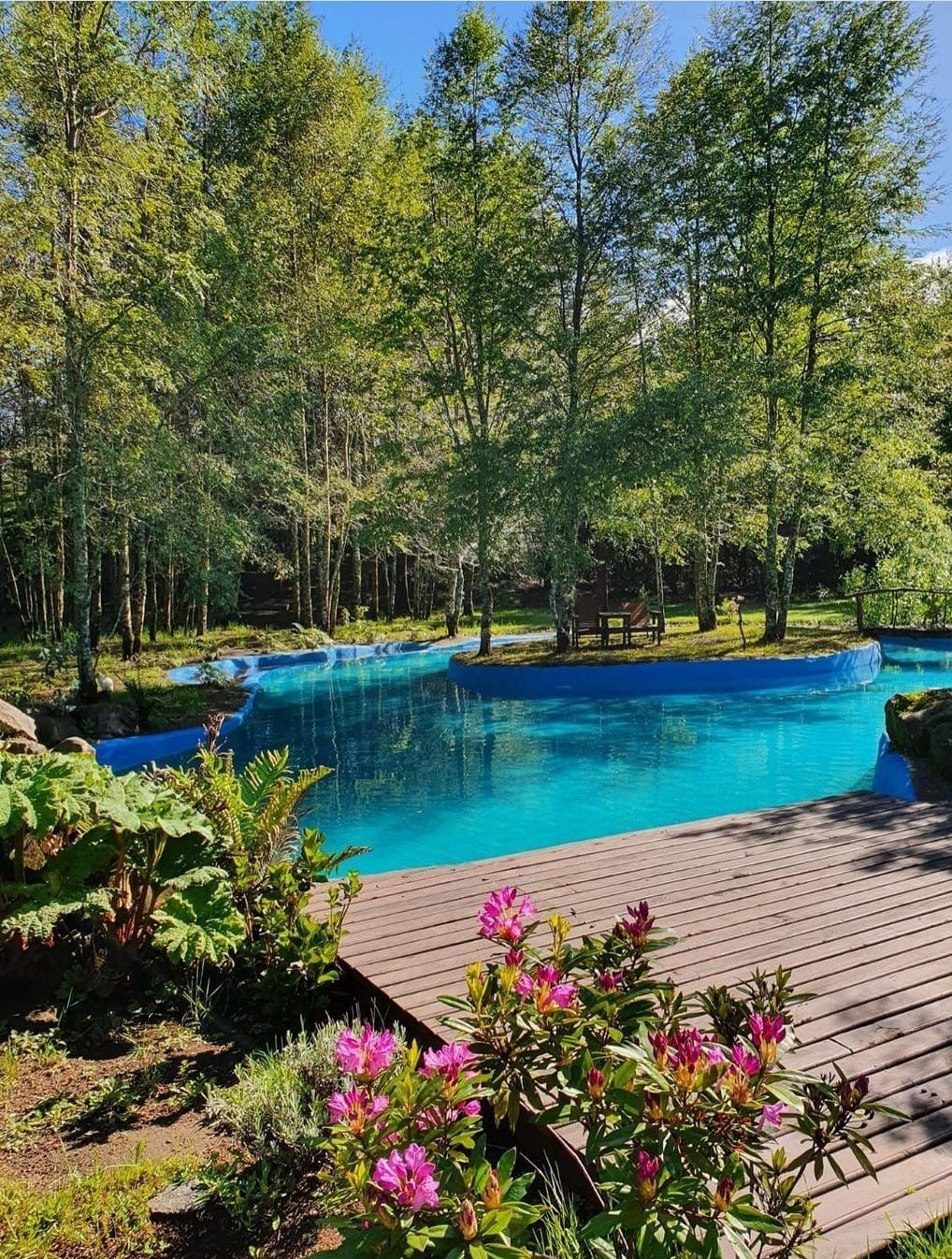 A tranquil pool with a lagoon-like appearance is surrounded by lush greenery and native trees. Bright pink flowers bloom near a wooden deck, which provides access to the pool area. A small seating area is visible on an island within the pool, enhancing the serene environment.