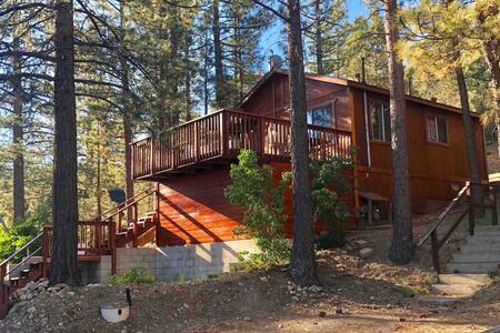 Cozy Cabin in the Woods