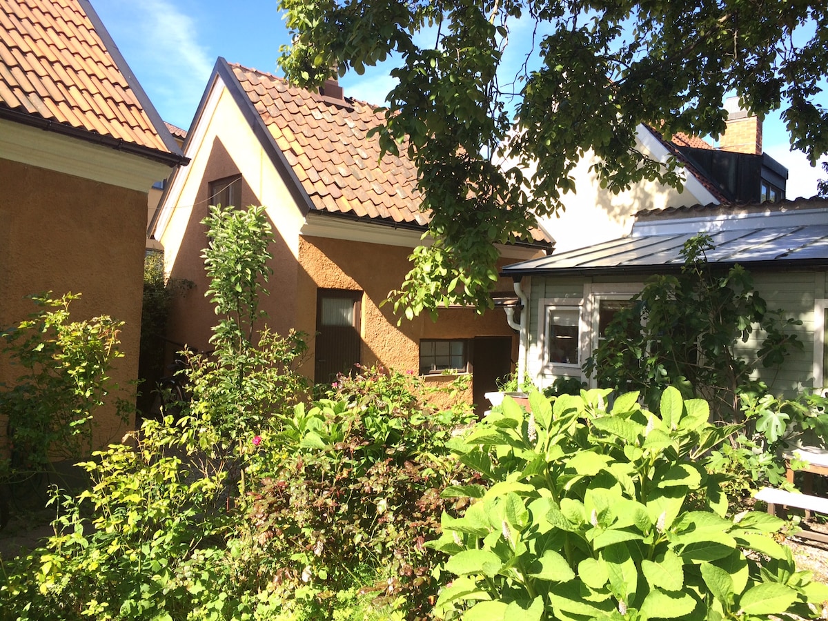 A view of charming houses is presented, featuring warm-toned walls and distinct rooftops partially shaded by trees. Lush greenery fills the surrounding garden, with varied shrubs and plants visible. Soft sunlight creates natural highlights, enhancing the inviting atmosphere of the outdoor space.