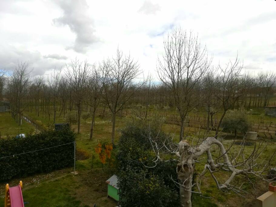La struttura si trova in aperta campagna