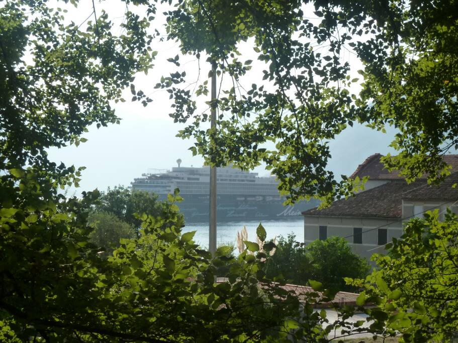 view from terrace