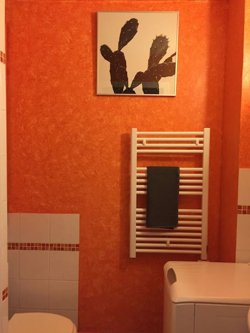 Salle d'eau