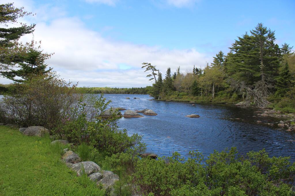 Our property down by Black Point Lake- canoe/ paddles and life jackets for 2 provided