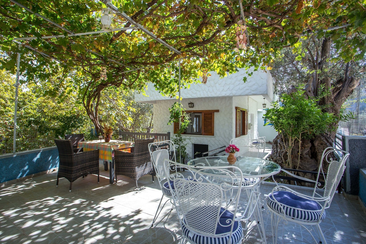 A covered terrace features a glass table surrounded by white wrought iron chairs. A dining area with a colorful tablecloth is visible, shaded by a canopy of greenery. Lush plants and trees provide a serene backdrop, enhancing a peaceful outdoor dining experience.