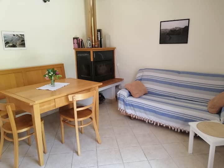 Кујна - дневна соба со камин 