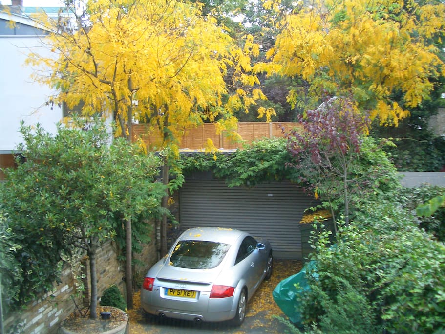 garden and car space