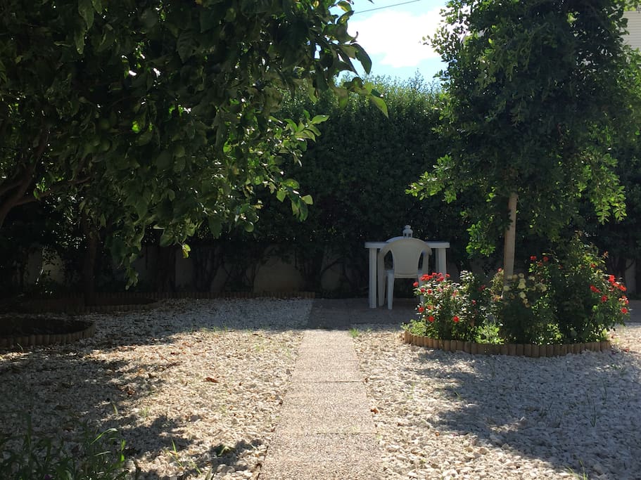 garden with plenty of shadow