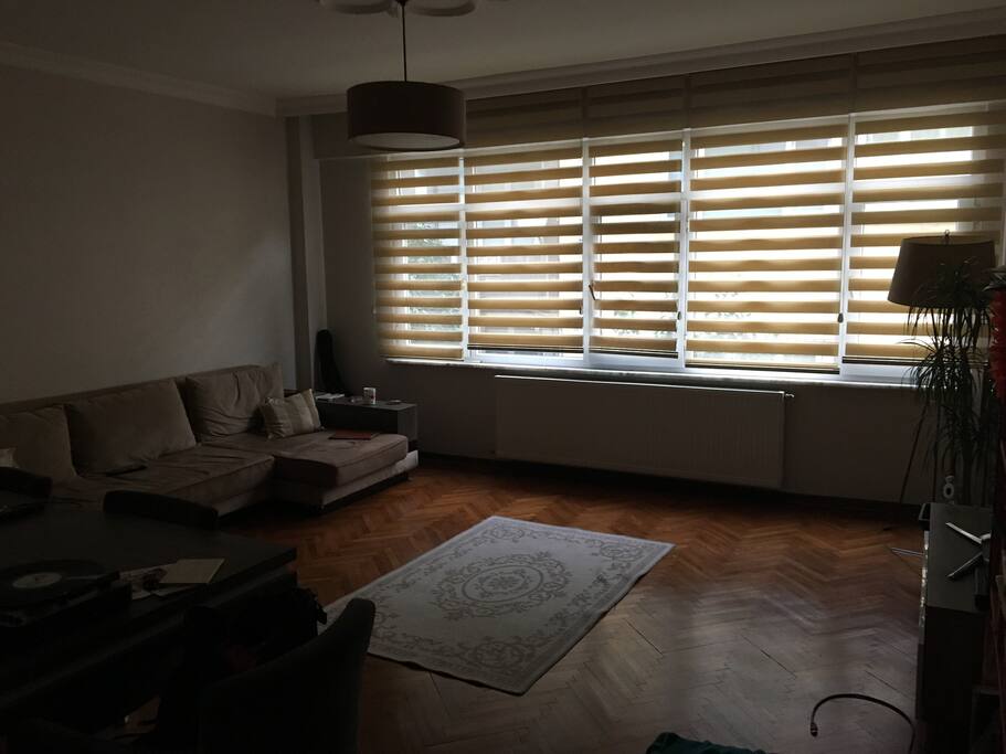 Nice living room with Tv and dining table