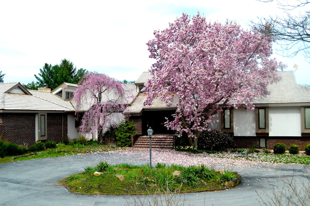 Front of home