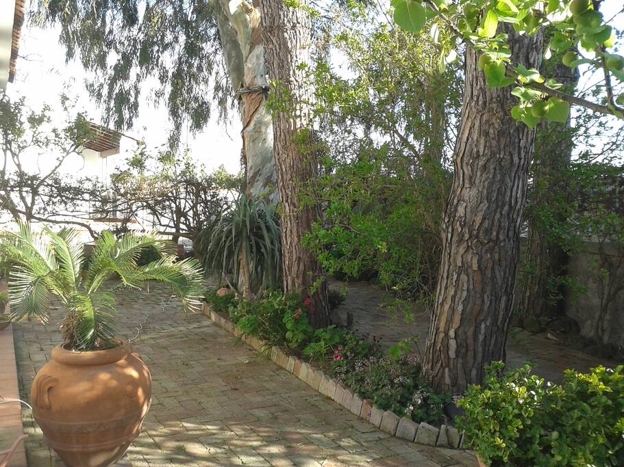 Giardino principale