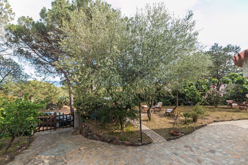 outdoor area