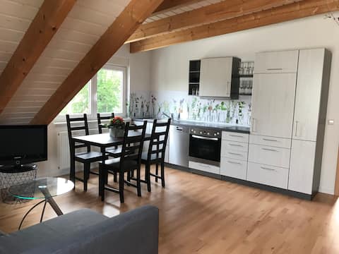 Bright quiet apartment near the city center