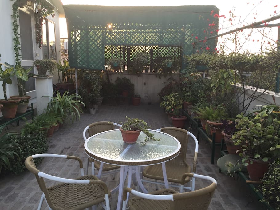 Terrace